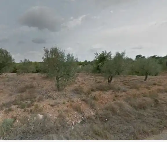 Terreny rústic en venda a San Jorge / Sant Jordi, imagen 5