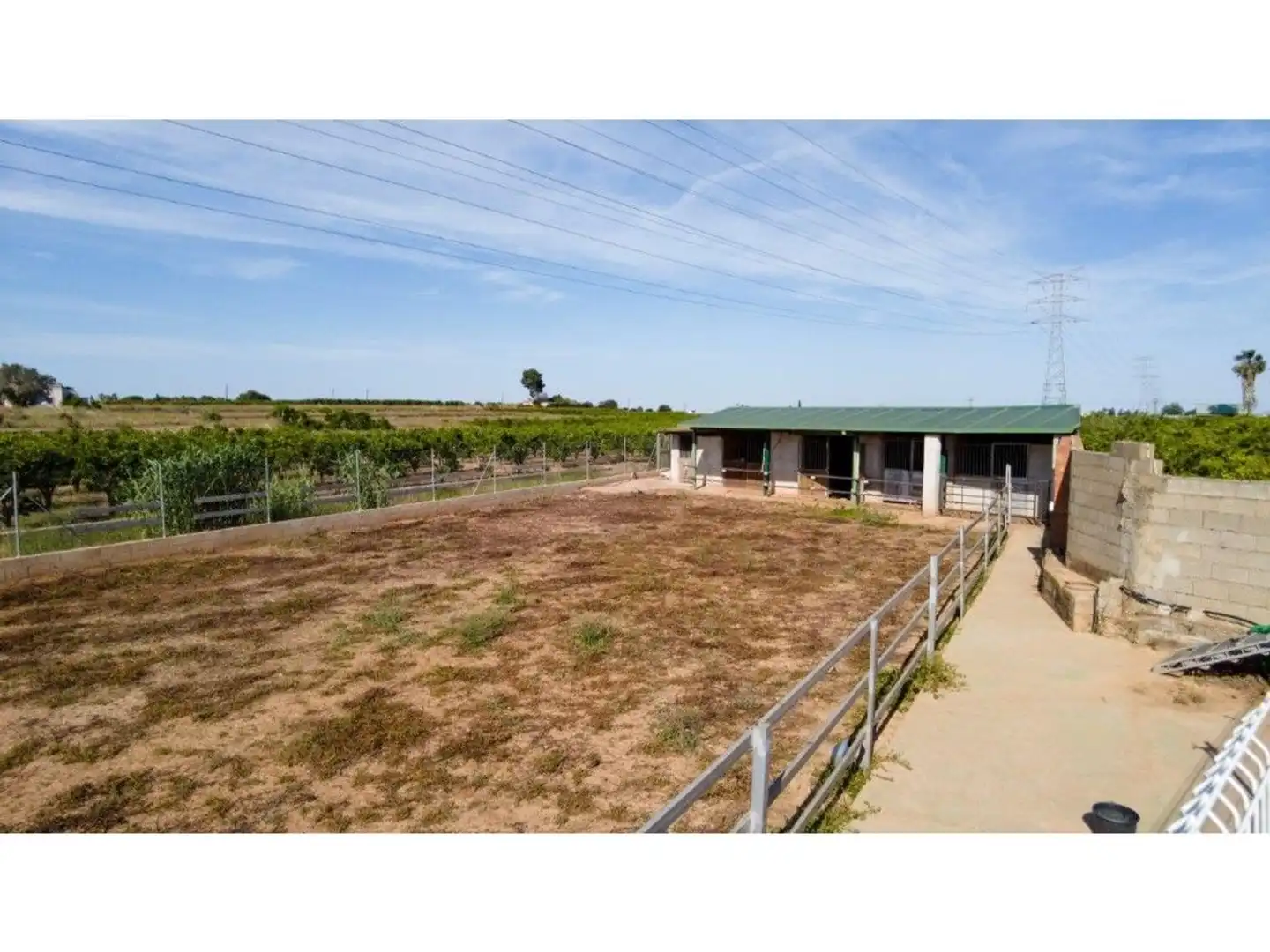Vista exterior de Casa o xalet en venda en Carlet amb Jardí privat, Terrassa i Traster