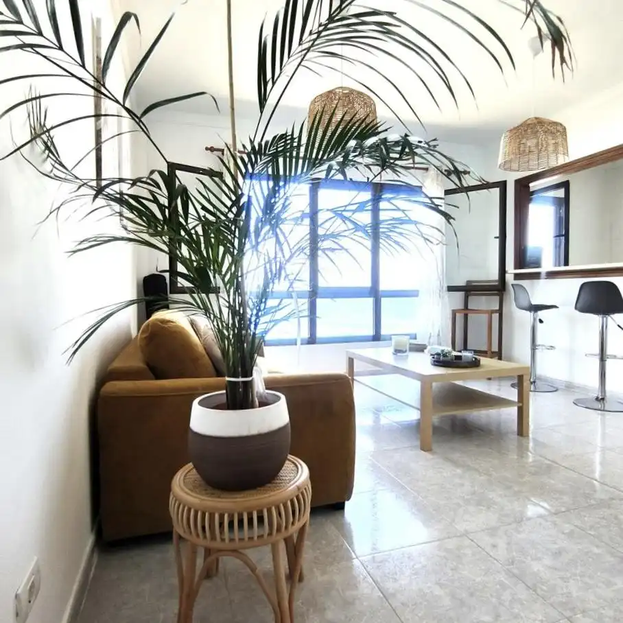 Appartement compact avec ascenseur à louer à Diseminado San Felipe, imagen 3