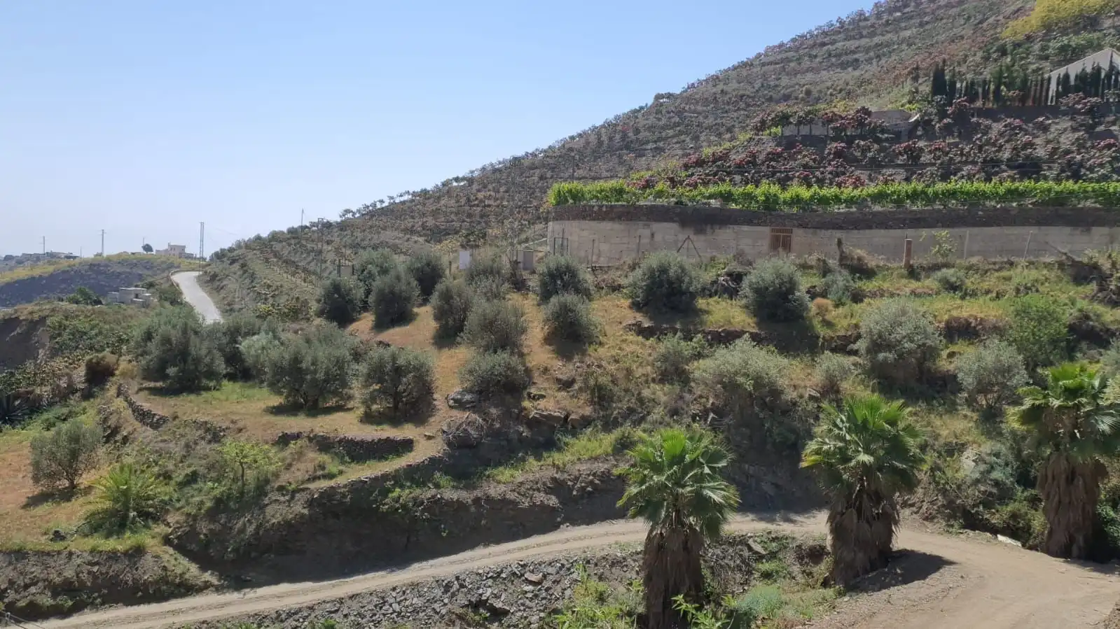Casa rústica en venda a Torrox Pueblo