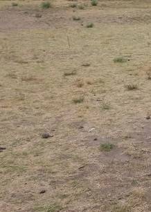 Terreno en Venta en Los Tablones - La Garnatilla