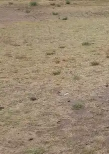 Terreni e lotti in vendita a Los Tablones - La Garnatilla