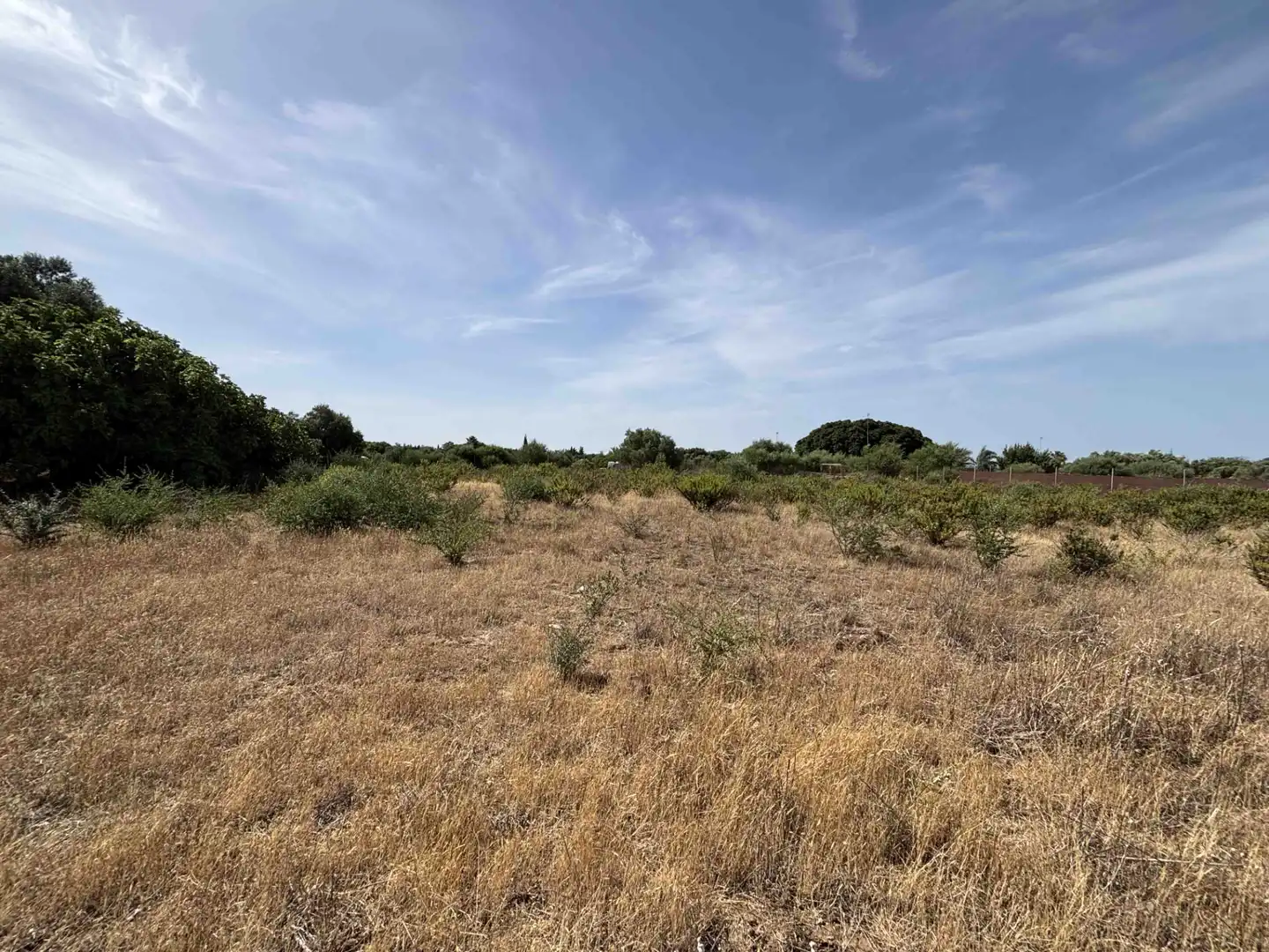 Terreny rústic en venda a Medina Sidonia, imagen 22