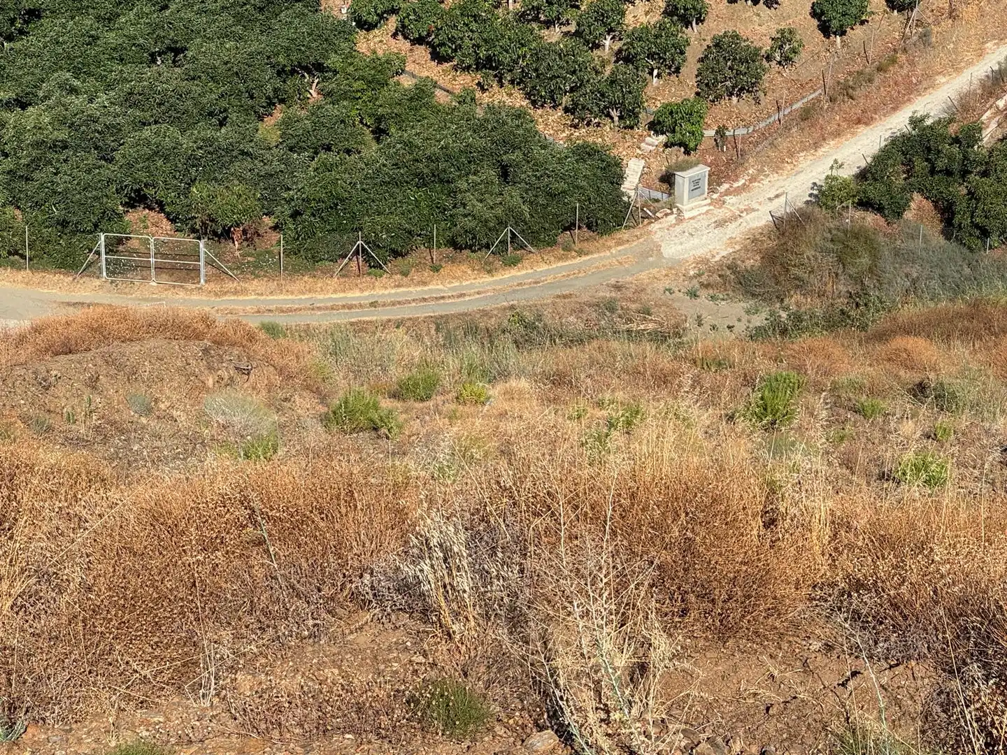 Rustikales Grundstück zum Verkauf in Algarrobo pueblo, imagen 10