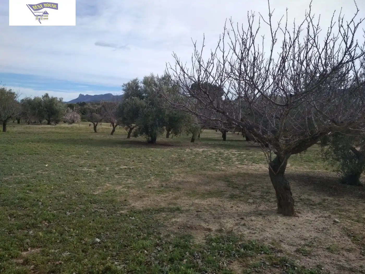 Terreni e lotti in vendita a Agullent, imagen 5