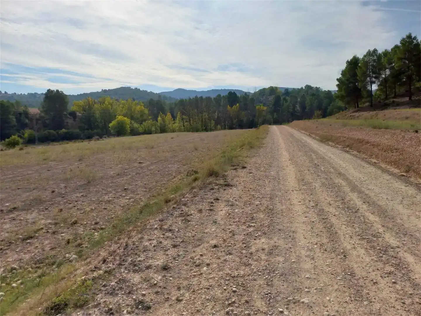Terreno en venta en Letur