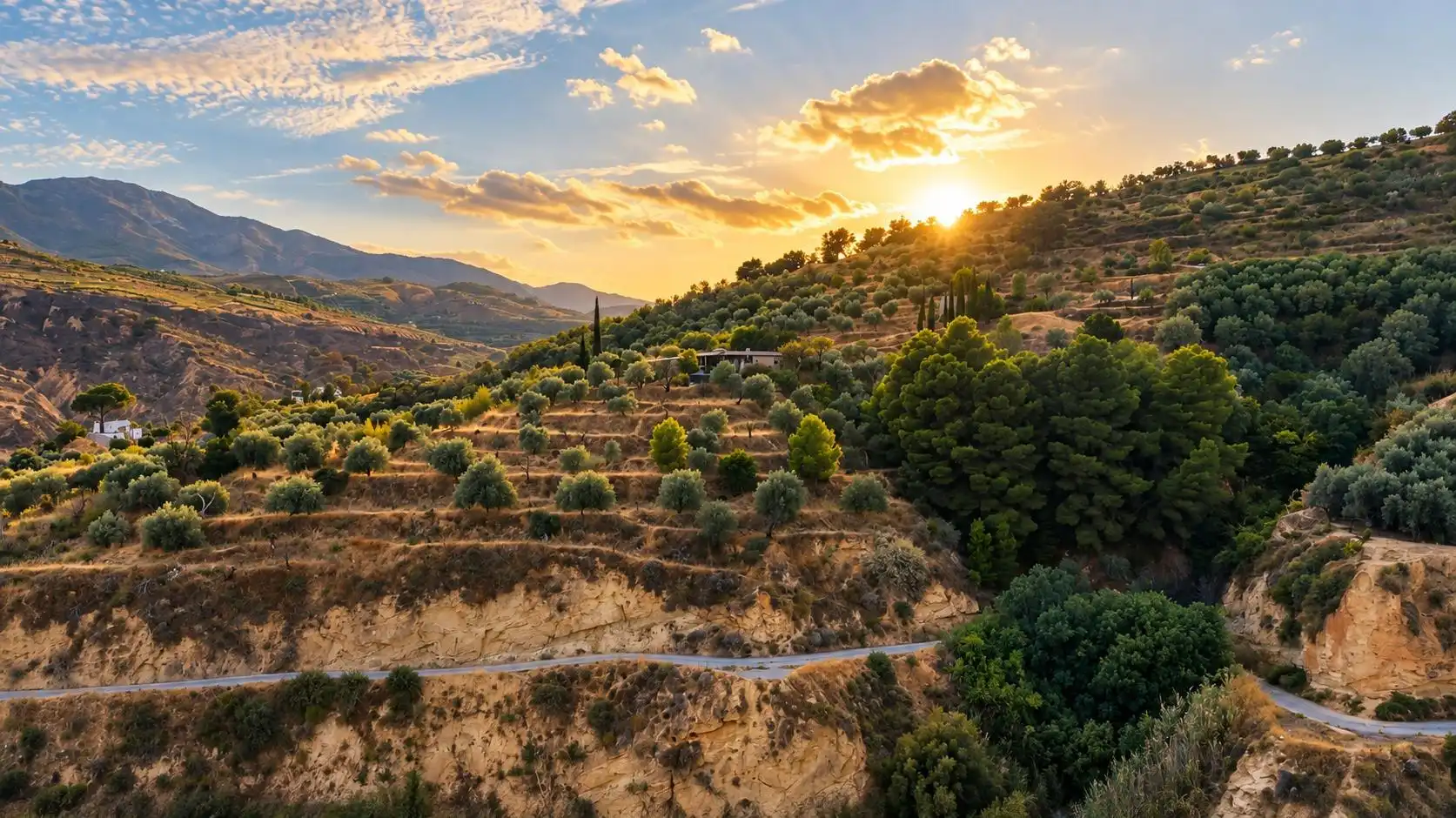 Terreno rustico in vendita a Lecrín, imagen 14