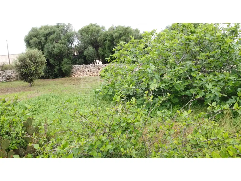 Villa à vendre à Calle De Sa Camamil·La, imagen 7
