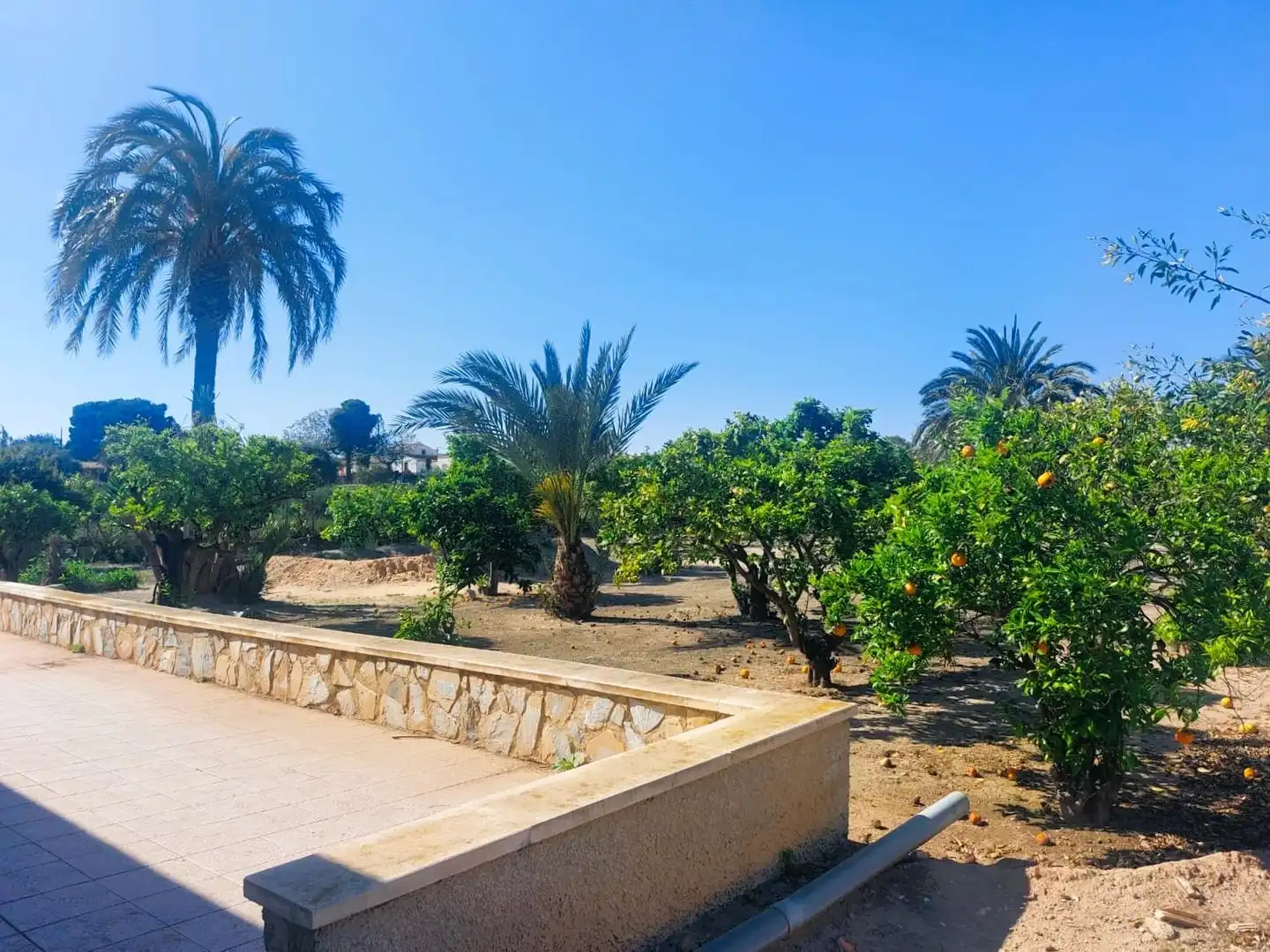 Finca rústica en venda en Elche / Elx amb Terrassa