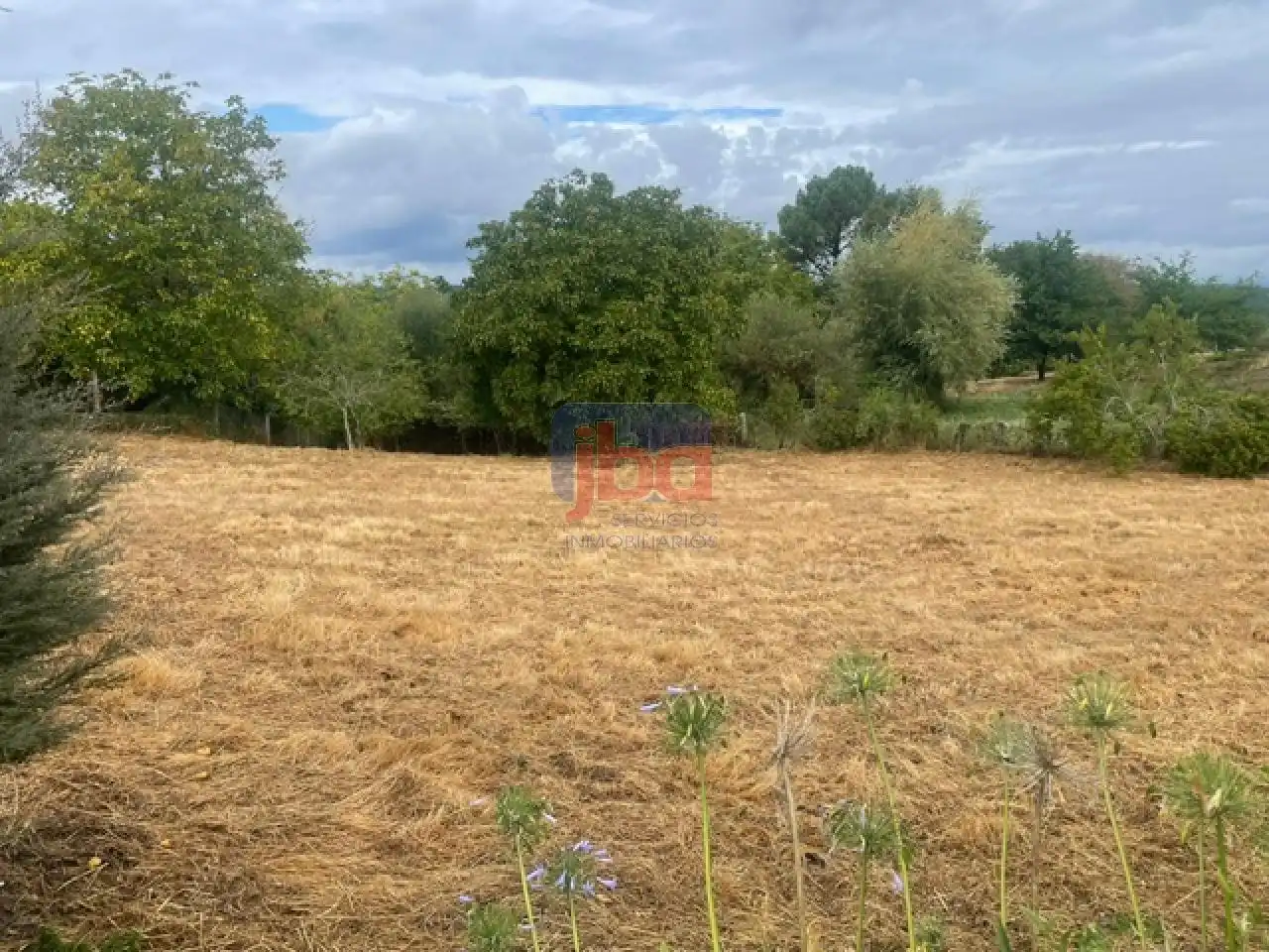 Casa amb terrassa en venda a O Pereiro de Aguiar, imagen 44
