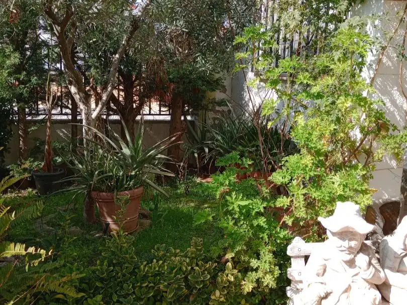 Casa con jardín en venta en C/. LA PINTA 14, imagen 41