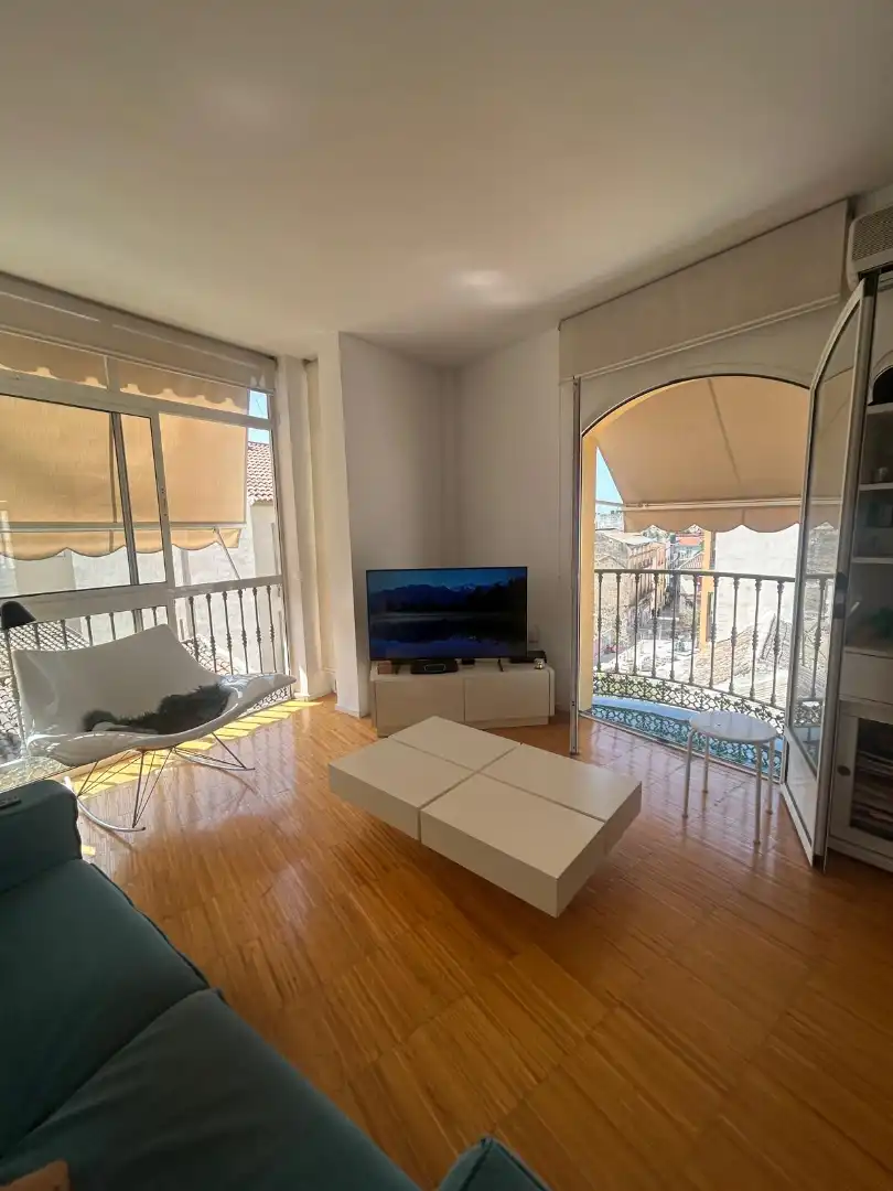 Living room of Flat for sale in Málaga  with Air Conditioner and Terrace