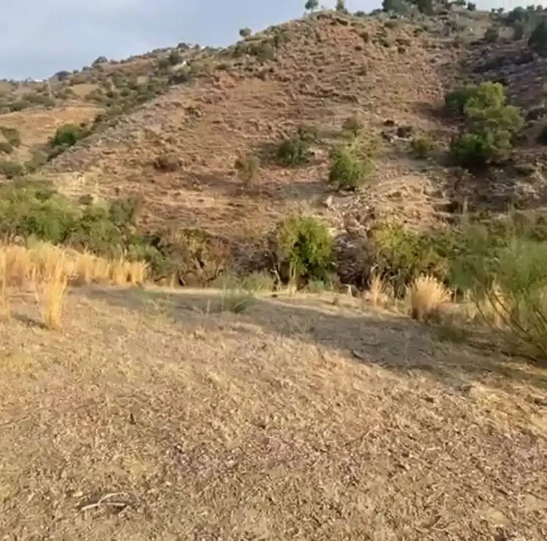 Rustikales Grundstück zum Verkauf in Cártama pueblo, imagen 15