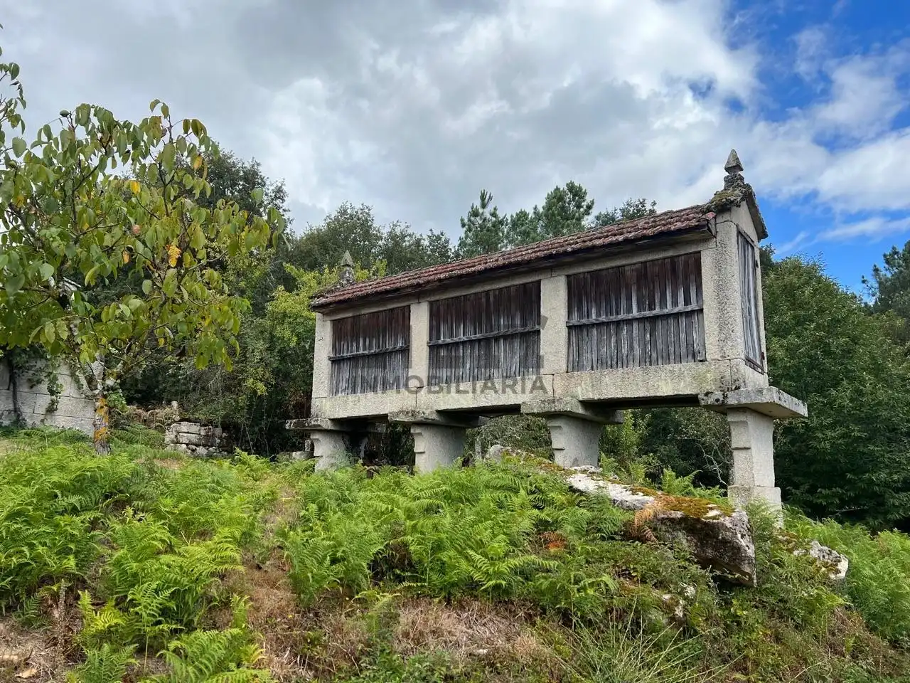 Casa amb jardí en venda a Amoeiro, imagen 9
