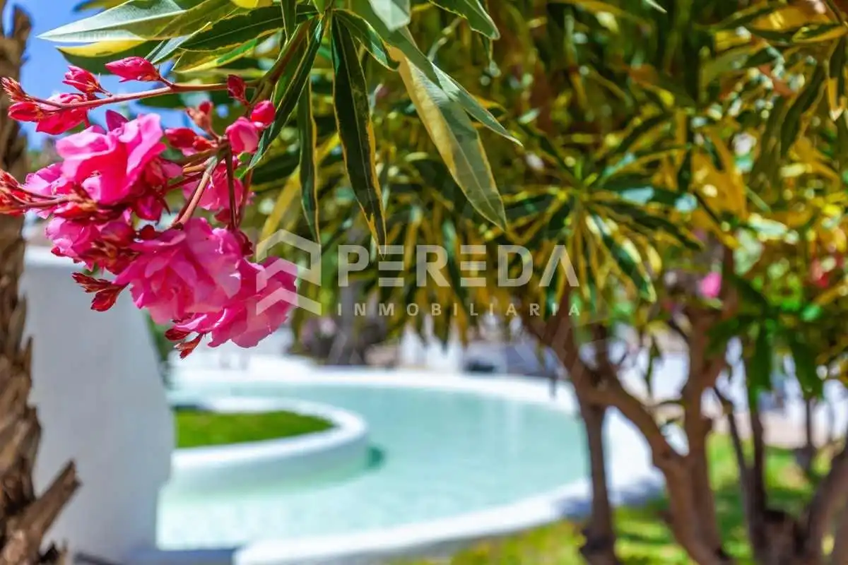 Studio mit Pool zum Verkauf in Avenida ENTREMARES (U), imagen 20