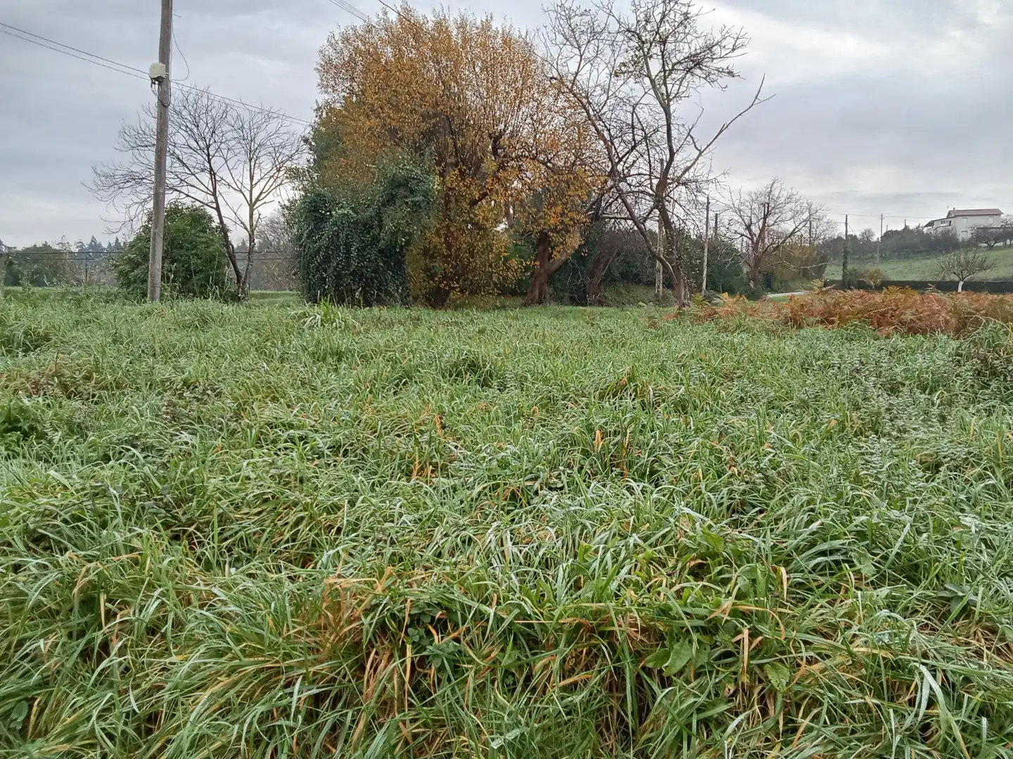 Terreni e lotti in vendita a Sedes - Pedroso - Doso, imagen 2