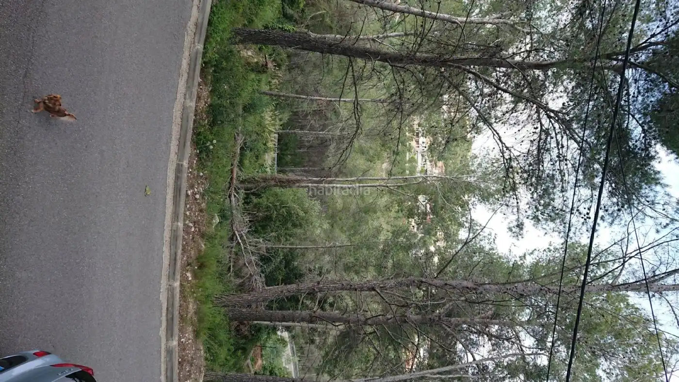 Terreny residencial en venda a Carrer del Teixo 11, imagen 2