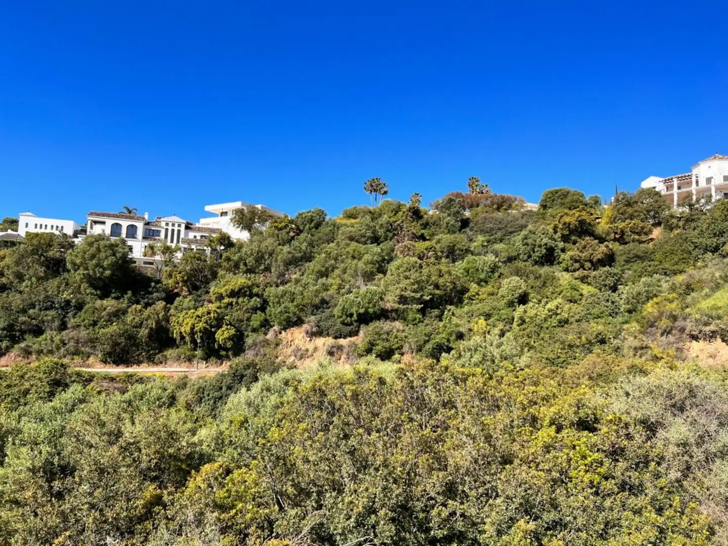 Terreno residencial en venta en Calle Barruelo, imagen 7