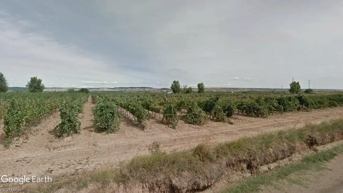 Terreny rústic en venda a Calahorra, imagen 2