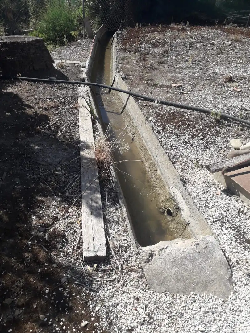 Vista exterior de Finca rústica en venda en Cártama amb Aire condicionat, Jardí privat i Traster