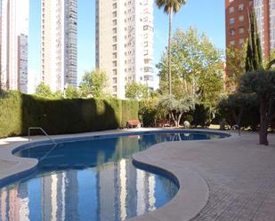 Piscina de Apartament en venda en Benidorm amb Aire condicionat, Terrassa i Piscina