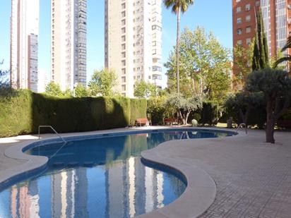 Swimming pool of Apartment for sale in Benidorm  with Air Conditioner, Private garden and Terrace