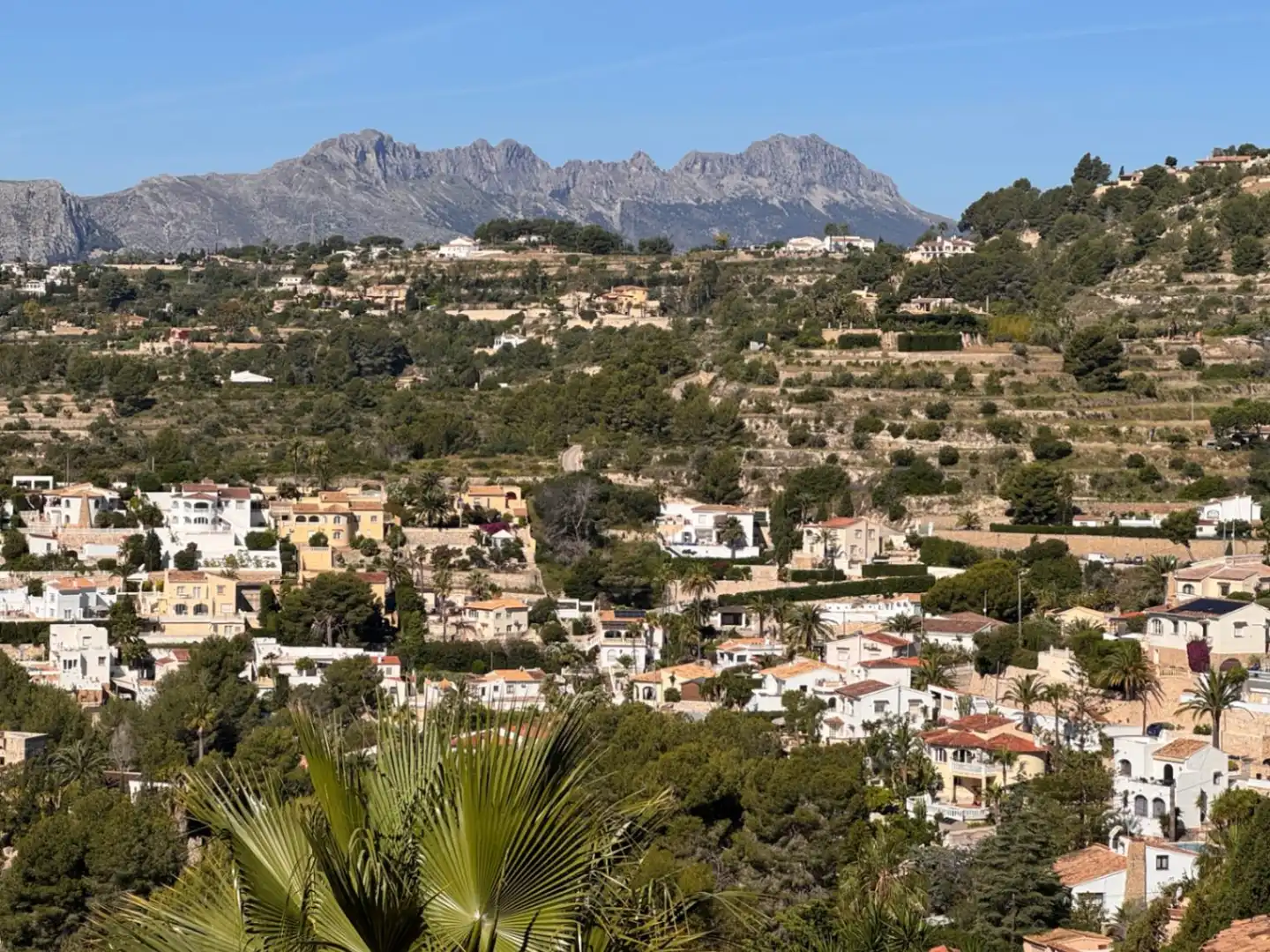 Villa avec jardin à vendre à La Viña - Montemar - San Jaime, imagen 3