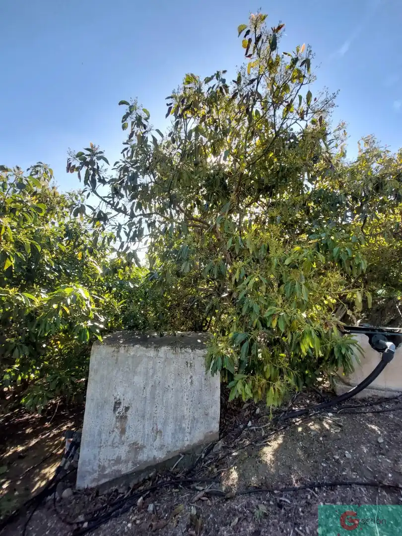 Casa rústica en venta en Molvízar, imagen 15