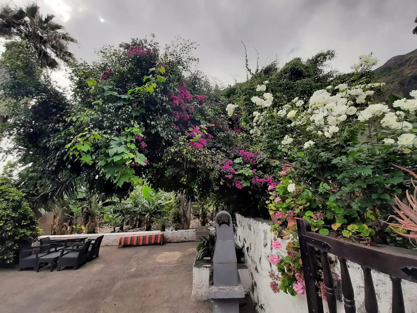 Jardí de Casa o xalet en venda en Icod de los Vinos amb Jardí privat i Terrassa