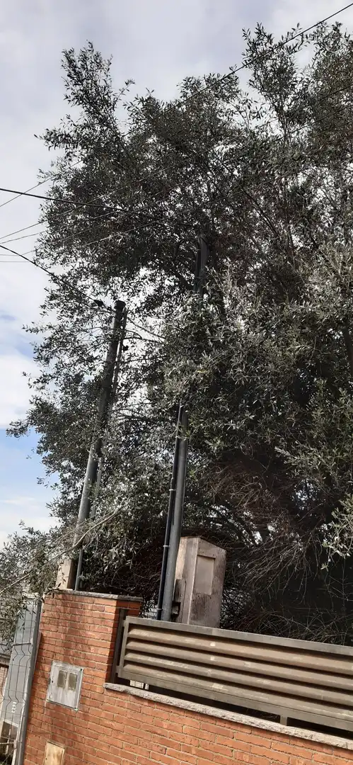 Jardí de Casa o xalet en venda en Vacarisses amb Jardí privat, Terrassa i Piscina