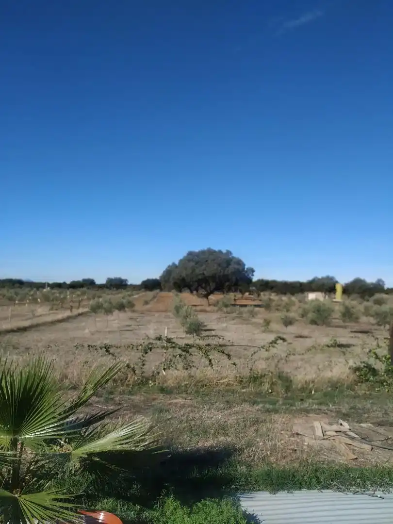 Terreno en venta en Chillón