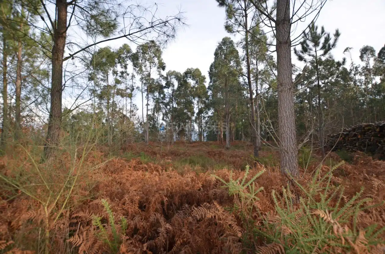Residential land for sale in LUGAR O MONTE, imagen 24