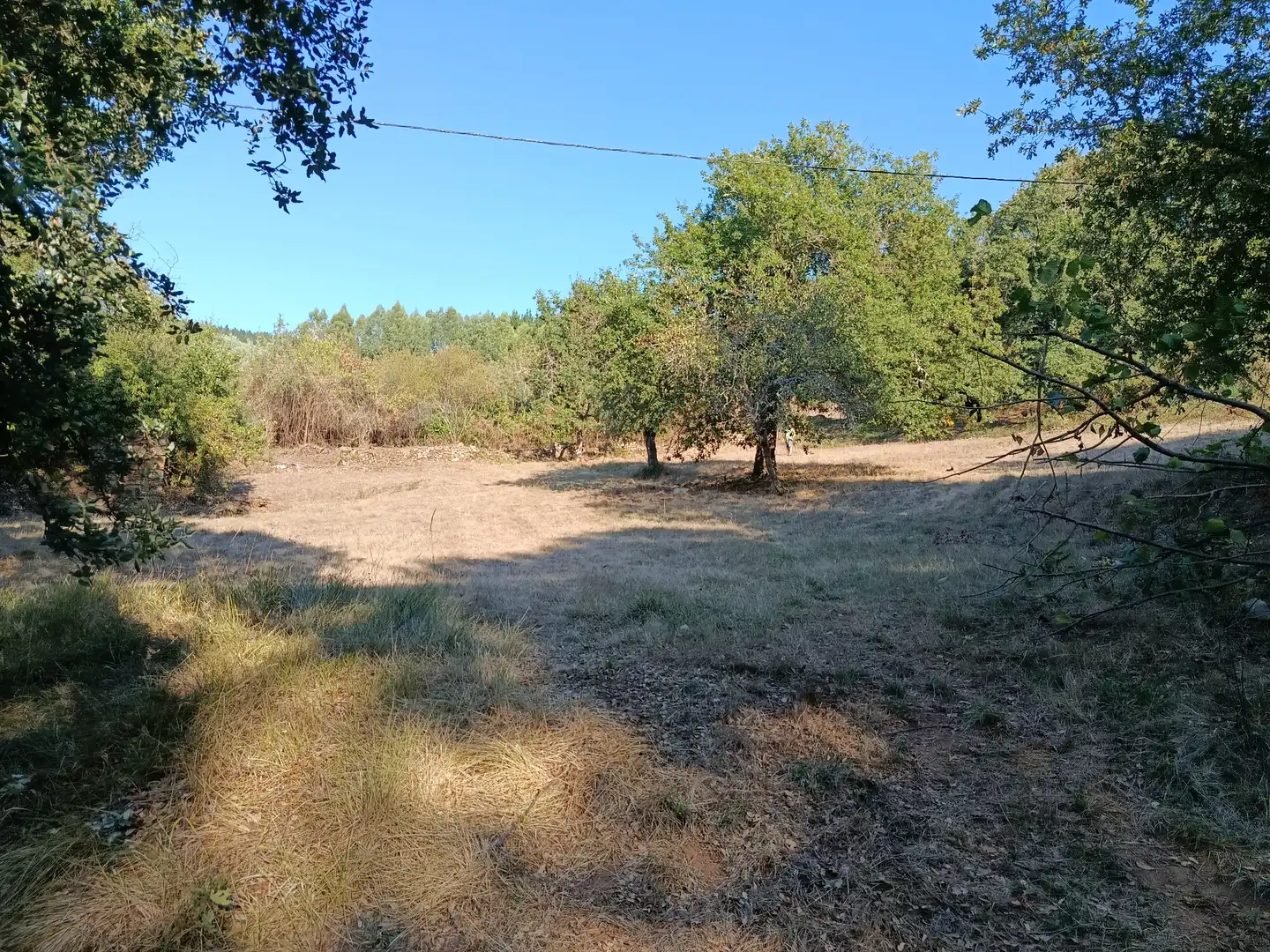 Finca rústica en venda en A Pobra do Brollón  amb Jardí privat, Moblat i Forn