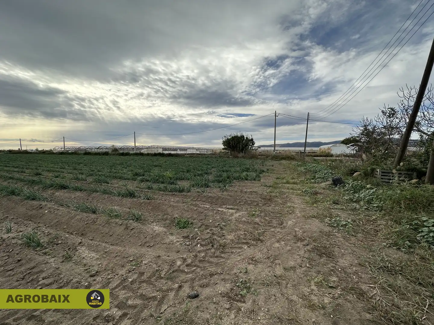 Rural land for sale in Torrent Ballester, imagen 23