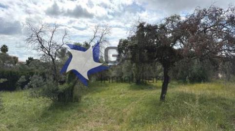 Foto 4 de Pis en venda a Paraíso Arenal - La Colina, Córdoba
