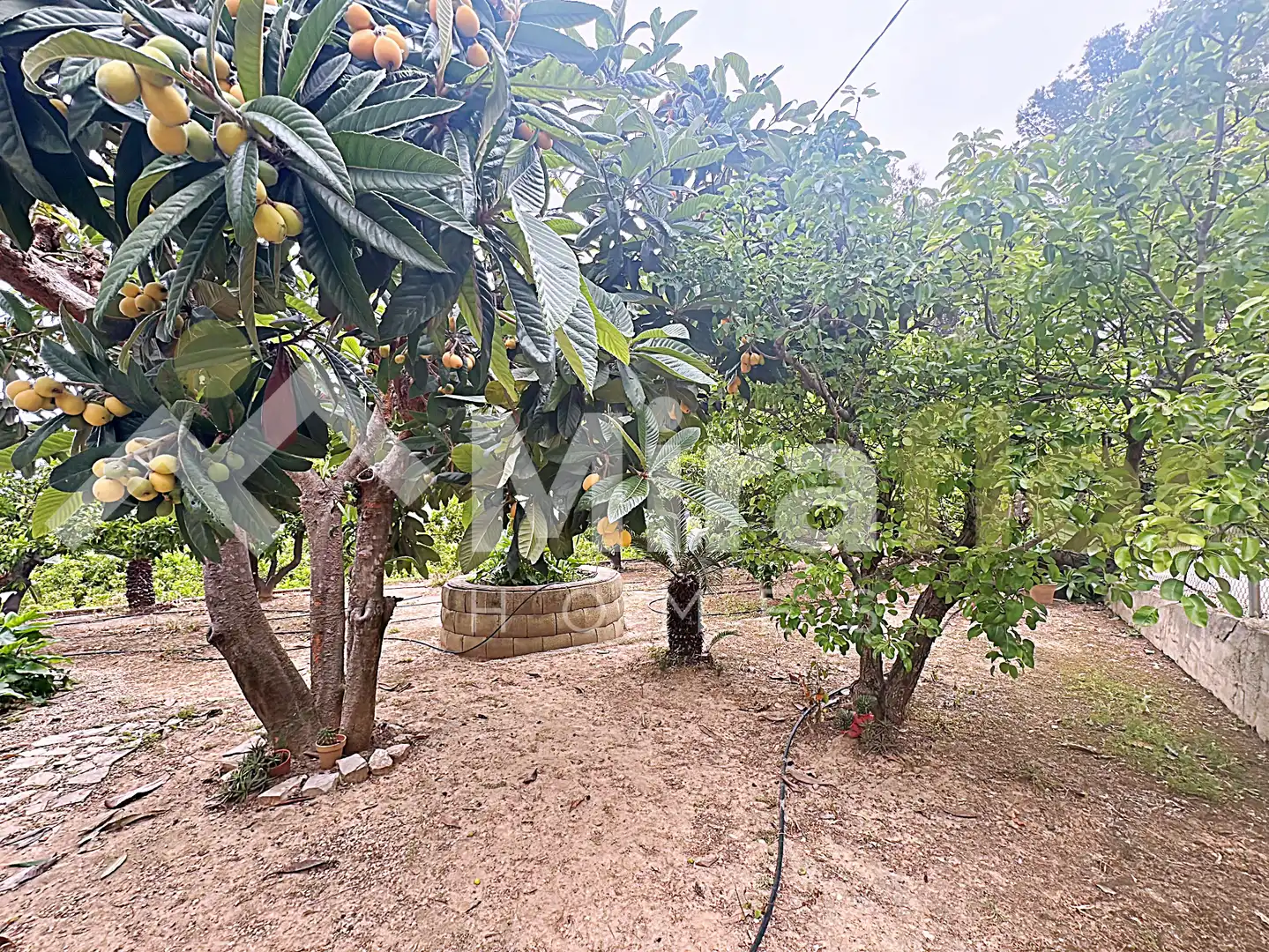 Finca rústica en venta en Pego con Jardín privado, Terraza y Amueblado