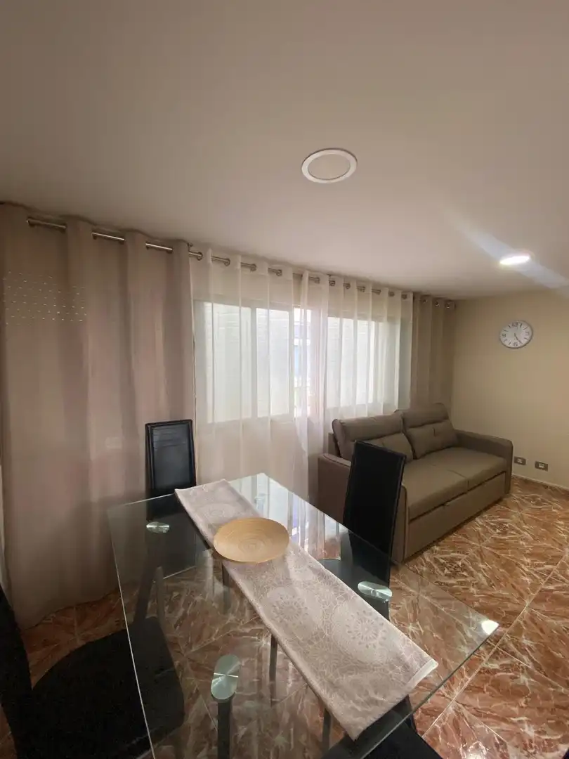 Sala de estar de Piso de alquiler en Las Palmas de Gran Canaria con Amueblado