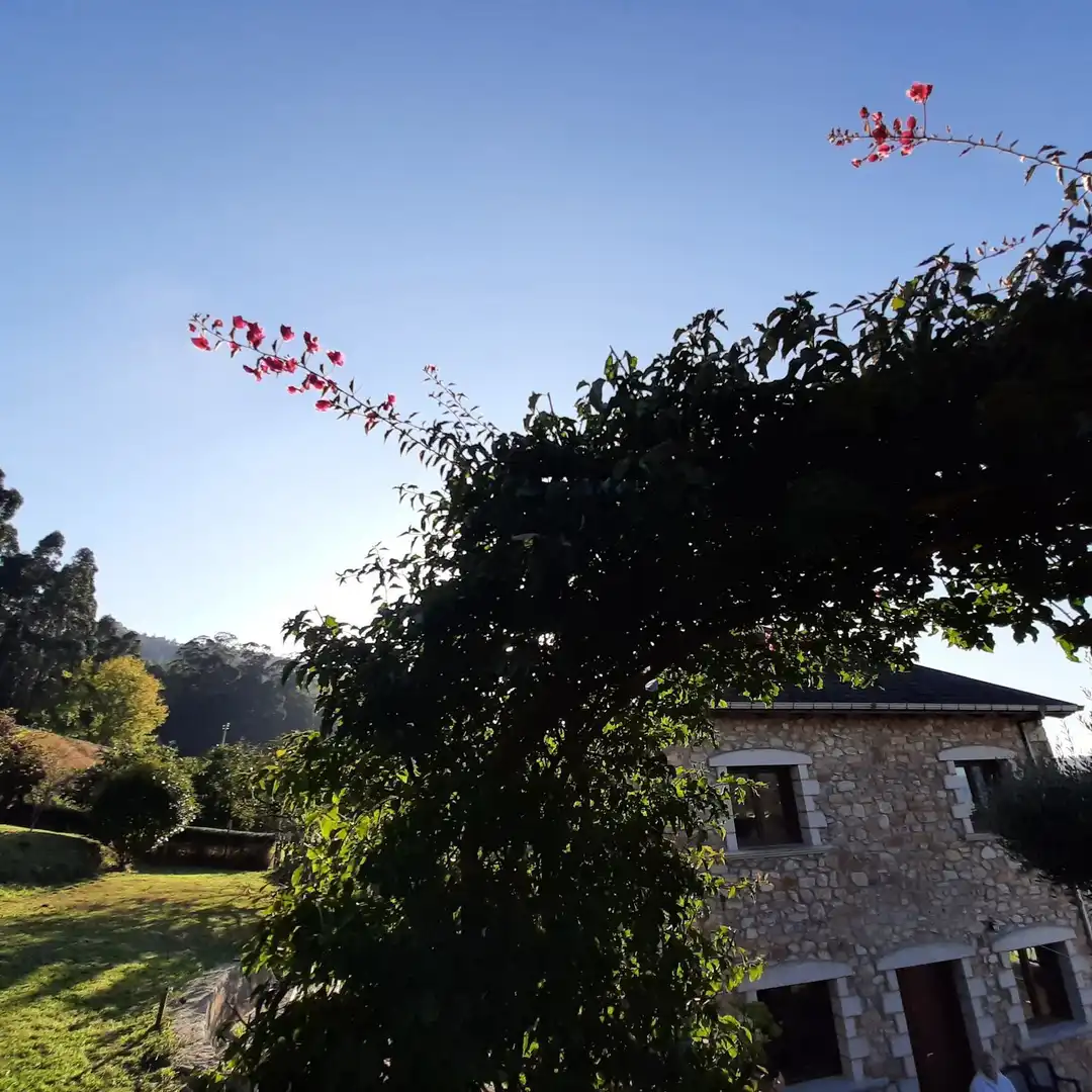 Xalet amb jardí en venda a Calle Doutor Llisterri 37, imagen 28