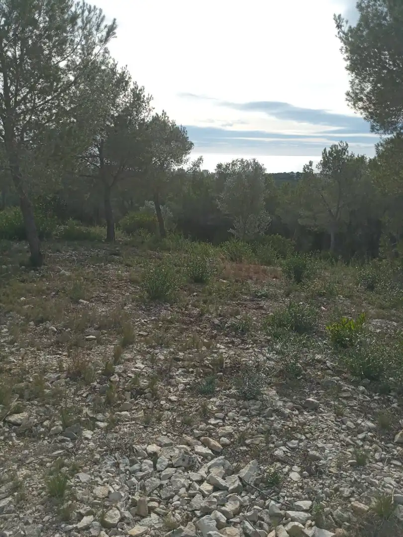 Residential for sale in Carrer Crisantem, 49, Costa Cunit - Els Jardins - Els Rosers