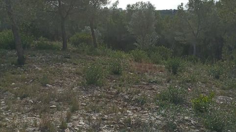 Foto 3 de Residencial en venda a Carrer Crisantem, 49, Costa Cunit - Els Jardins - Els Rosers, Cunit