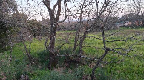 Foto 4 de Terreny en venda a Aceituna, Cáceres