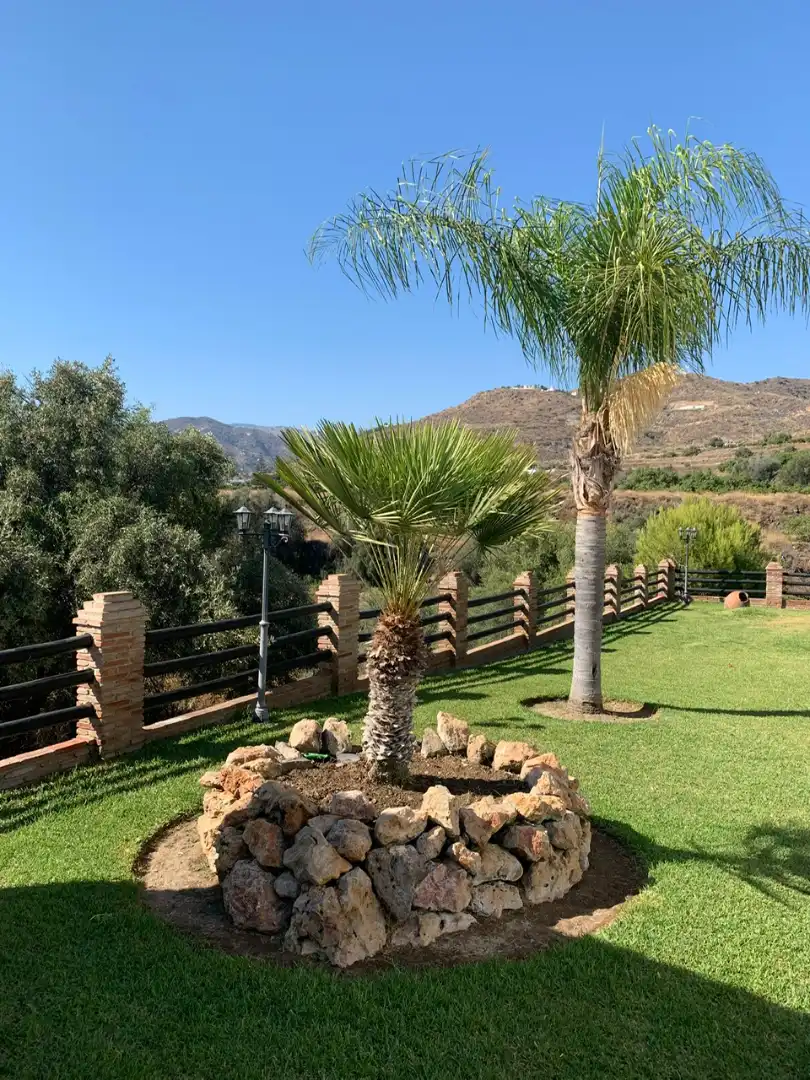 Jardín de Casa o chalet en venta en Torrox con Jardín privado, Terraza y Piscina