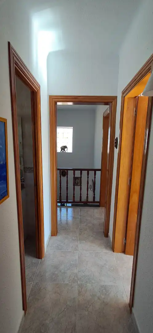 Chalet con terraza en venta en Sant Pere de Vilamajor, imagen 15