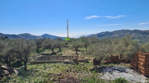 Foto 5 de Finca rústica en venta en Canillas de Albaida, Málaga