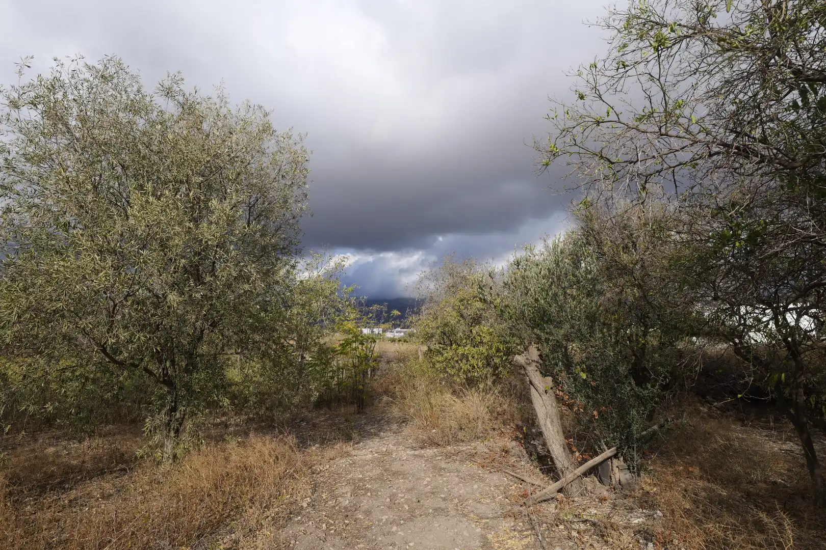 Terreno residencial en venta en Callejón de Beltrán 12, imagen 8