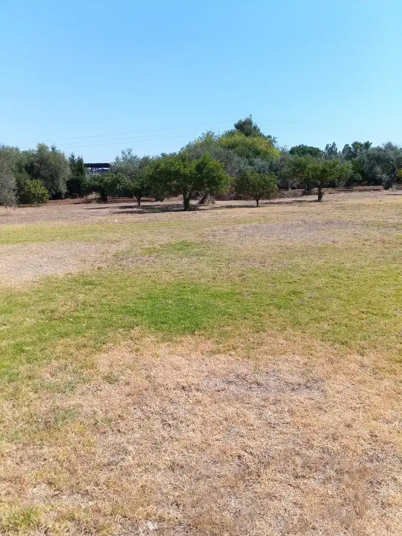 Finca rústica en venta en Utrera con Aire acondicionado, Piscina y Amueblado