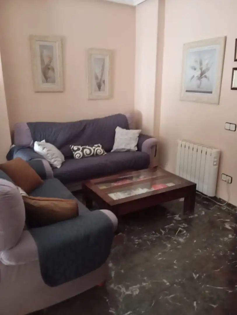 Sala d'estar de Pis en venda en Linares amb Terrassa, Traster i Moblat