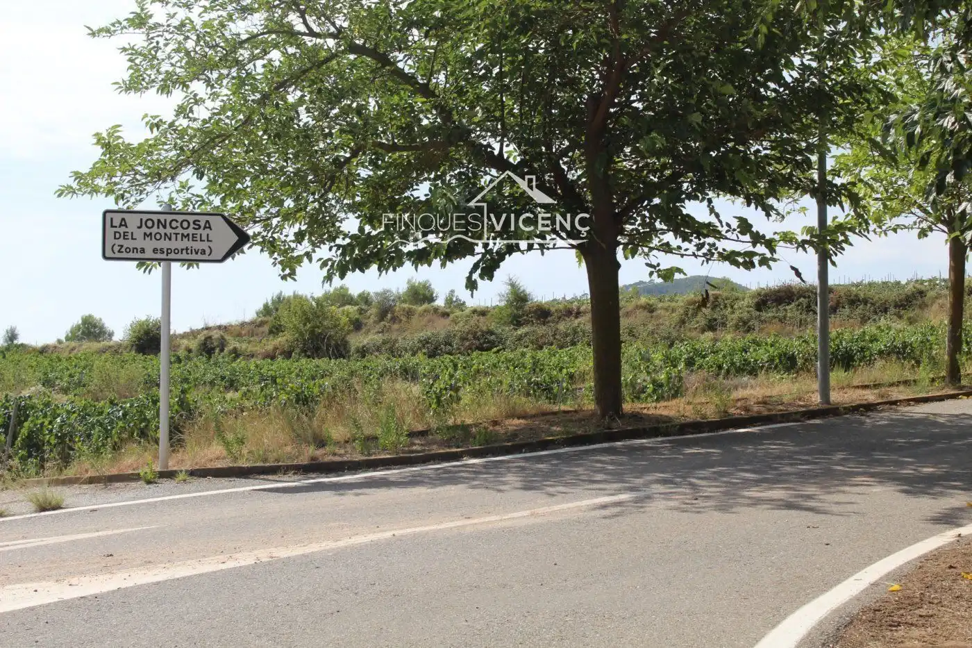 Terreny rústic en venda a esglesia de l', imagen 11