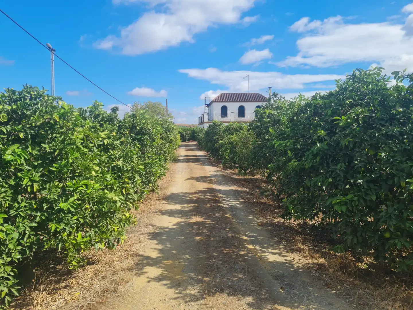 Außenansicht von Country house zum Verkauf in Cantillana mit Privatgarten, Terrasse und Schwimmbad