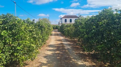 Foto 4 de Finca rústica en venda a Extrarradio Diseminados, 63, Cantillana, Sevilla